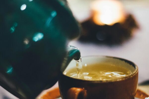 WHITE TEA MANUFACTURE