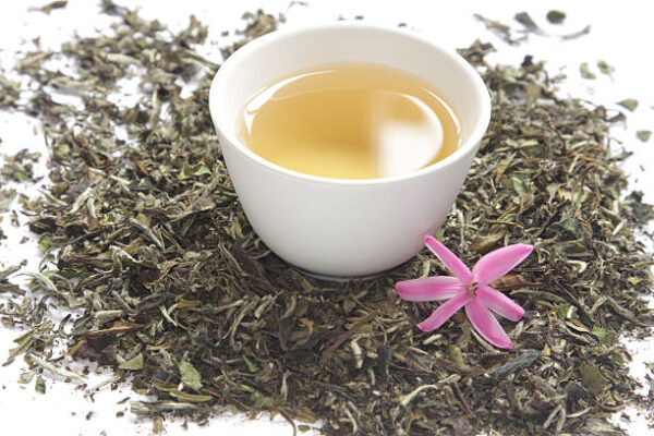 darejeeling white tea